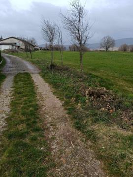 Nova Sušica (8)